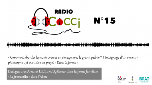 MINIATURE RADIO COCCI 15.png