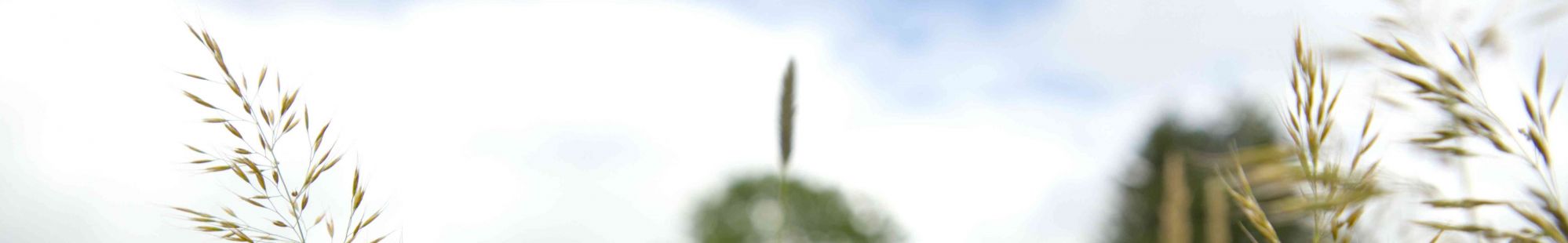 202406_GramCiel.jpg