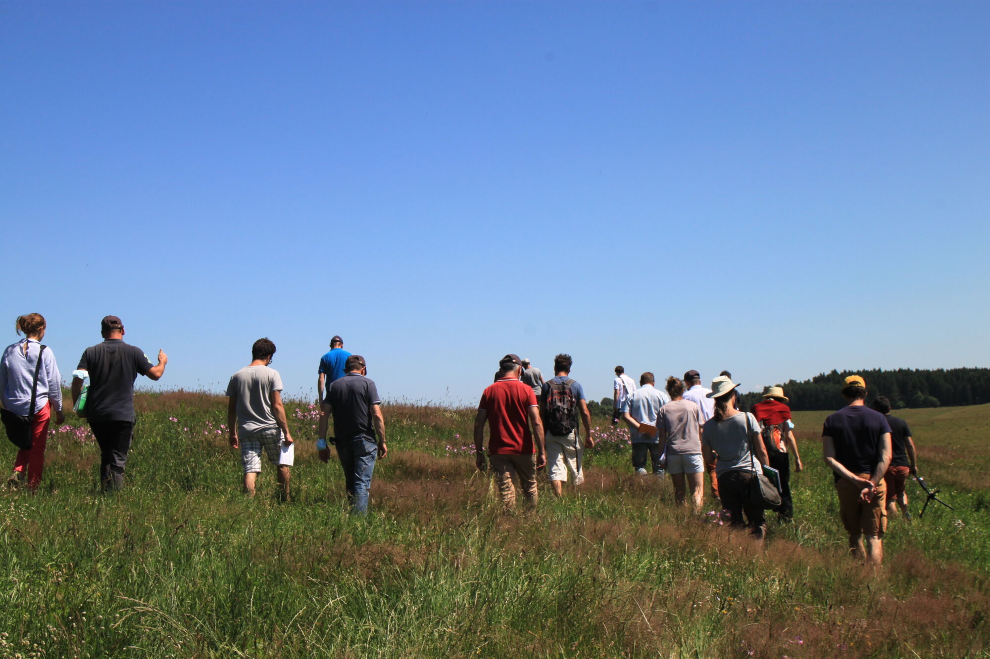Tour de plaine à Marcenat