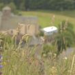 202406-PreVillage.jpg