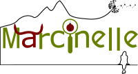 Comite-Technique-de-Marcinelle-du-15-03-2023.png