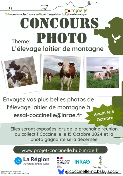 Coccinelle_PhotoContest.png