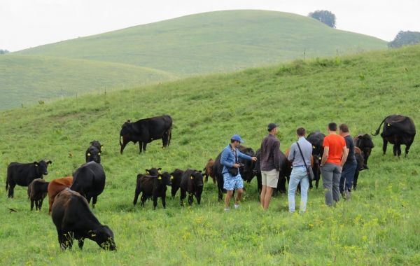 grazing-animals-from-western-stara-planina-ih-in-bulgaria-web.jpg