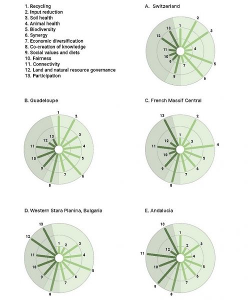 figure-1_13principles.jpg