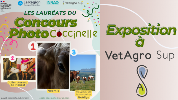 Exposition.png